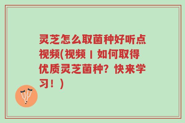 灵芝怎么取菌种好听点视频(视频丨如何取得优质灵芝菌种?快来学习!)-第1张图片-超越 灵芝怎么取菌种好听点视频(视频丨如何取得优质灵芝菌种?快来学习!)-第1张图片-超越