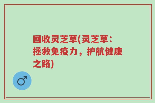 回收灵芝草(灵芝草:拯救免疫力,护航健康之路)-第1张图片-超越 回收灵芝草(灵芝草:拯救免疫力,护航健康之路)-第1张图片-超越