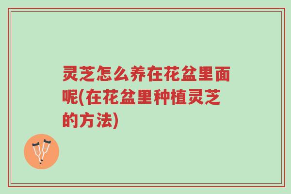 灵芝怎么养在花盆里面呢(在花盆里种植灵芝的方法)-第1张图片-超越 灵芝怎么养在花盆里面呢(在花盆里种植灵芝的方法)-第1张图片-超越