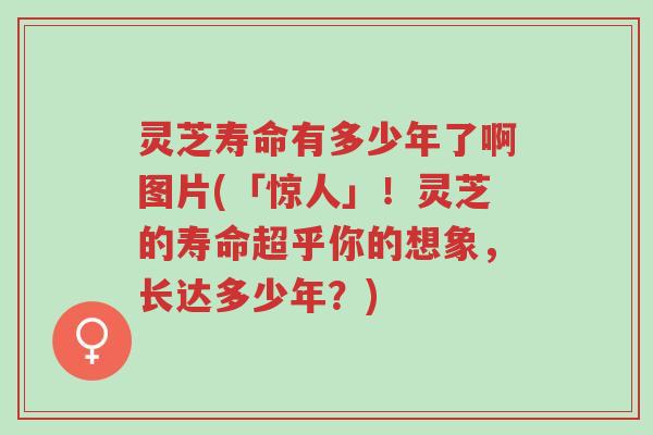 灵芝寿命有多少年了啊图片(「惊人」!灵芝的寿命超乎你的想象,长达多少年?)-第1张图片-超越 灵芝寿命有多少年了啊图片(「惊人」!灵芝的寿命超乎你的想象,长达多少年?)-第1张图片-超越