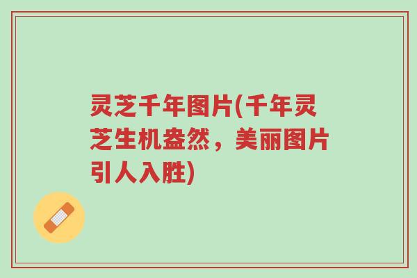 灵芝千年图片(千年灵芝生机盎然,美丽图片引人入胜)-第1张图片-超越 灵芝千年图片(千年灵芝生机盎然,美丽图片引人入胜)-第1张图片-超越