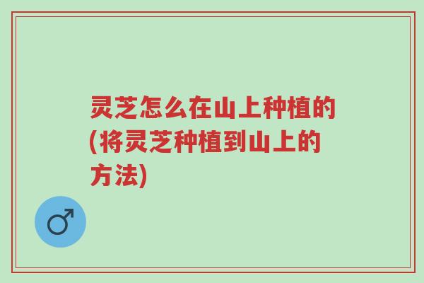 灵芝怎么在山上种植的(将灵芝种植到山上的方法)-第1张图片-超越 灵芝怎么在山上种植的(将灵芝种植到山上的方法)-第1张图片-超越