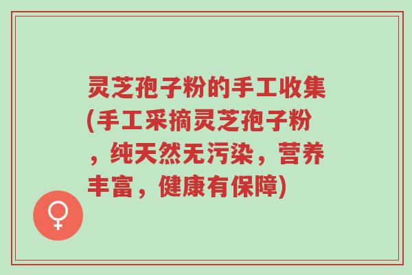 灵芝孢子粉的手工收集(手工采摘灵芝孢子粉，纯天然无污染，营养丰富，健康有保障)-第1张图片-超越