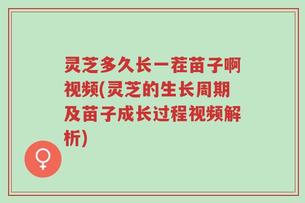 灵芝多久长一茬苗子啊视频(灵芝的生长周期及苗子成长过程视频解析)-第1张图片-超越 灵芝多久长一茬苗子啊视频(灵芝的生长周期及苗子成长过程视频解析)-第1张图片-超越
