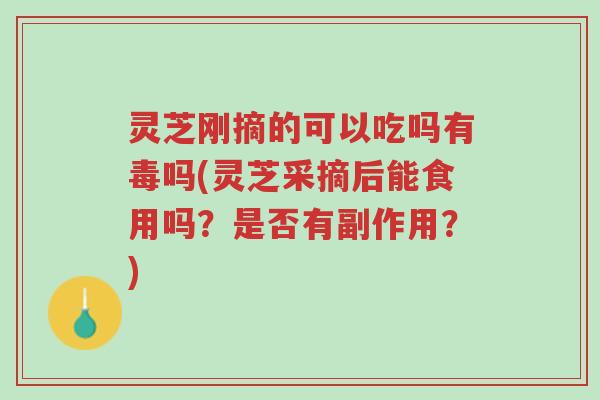 灵芝刚摘的可以吃吗有毒吗(灵芝采摘后能食用吗?是否有副作用?)-第1张图片-超越 灵芝刚摘的可以吃吗有毒吗(灵芝采摘后能食用吗?是否有副作用?)-第1张图片-超越