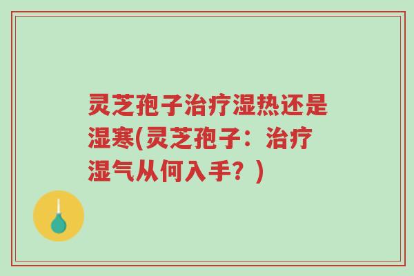 灵芝孢子治疗湿热还是湿寒(灵芝孢子:治疗湿气从何入手?)-第1张图片-超越 灵芝孢子治疗湿热还是湿寒(灵芝孢子:治疗湿气从何入手?)-第1张图片-超越