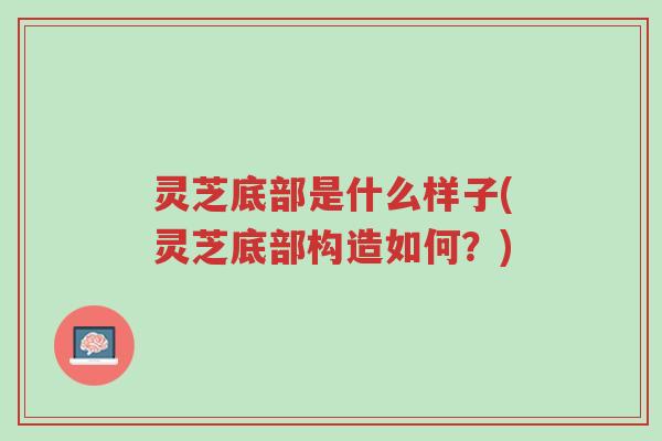 灵芝底部是什么样子(灵芝底部构造如何?)-第1张图片-超越 灵芝底部是什么样子(灵芝底部构造如何?)-第1张图片-超越