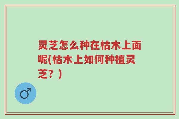 灵芝怎么种在枯木上面呢(枯木上如何种植灵芝?)-第1张图片-超越 灵芝怎么种在枯木上面呢(枯木上如何种植灵芝?)-第1张图片-超越