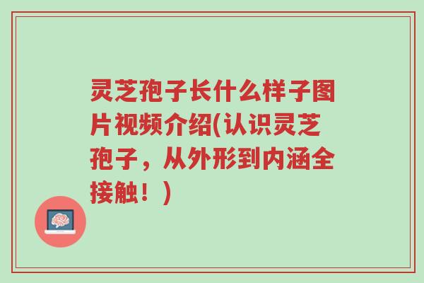 灵芝孢子长什么样子图片视频介绍(认识灵芝孢子，从外形到内涵全接触！)-第1张图片-超越