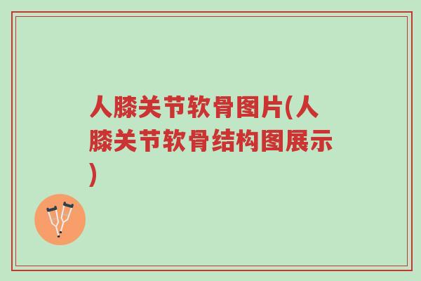 人膝关节软骨图片(人膝关节软骨结构图展示)-第1张图片-超越 人膝关节软骨图片(人膝关节软骨结构图展示)-第1张图片-超越