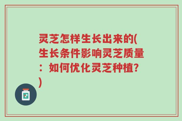 灵芝怎样生长出来的(生长条件影响灵芝质量：如何优化灵芝种植？)-第1张图片-超越
