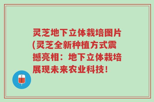 灵芝地下立体栽培图片(灵芝全新种植方式震撼亮相:地下立体栽培展现未来农业科技!-第1张图片-超越 灵芝地下立体栽培图片(灵芝全新种植方式震撼亮相:地下立体栽培展现未来农业科技!-第1张图片-超越