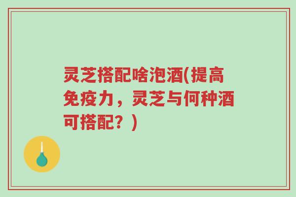 灵芝搭配啥泡酒(提高免疫力，灵芝与何种酒可搭配？)-第1张图片-超越
