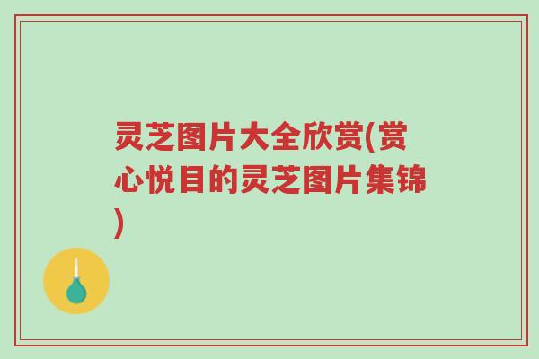 灵芝图片大全欣赏(赏心悦目的灵芝图片集锦)-第1张图片-超越