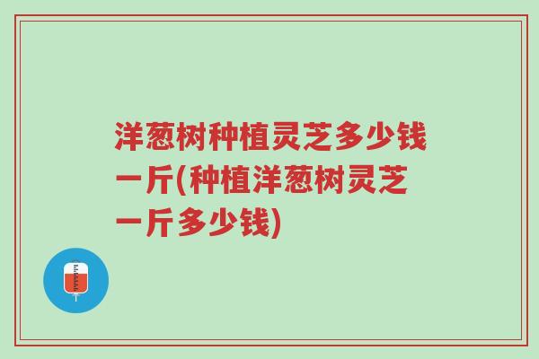 洋葱树种植灵芝多少钱一斤(种植洋葱树灵芝一斤多少钱)-第1张图片-超越