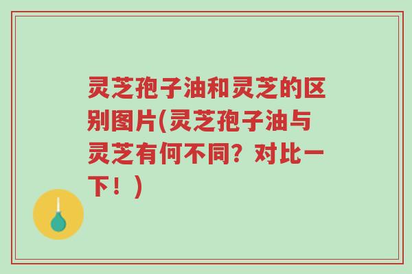 灵芝孢子油和灵芝的区别图片(灵芝孢子油与灵芝有何不同?对比一下!)-第1张图片-超越 灵芝孢子油和灵芝的区别图片(灵芝孢子油与灵芝有何不同?对比一下!)-第1张图片-超越