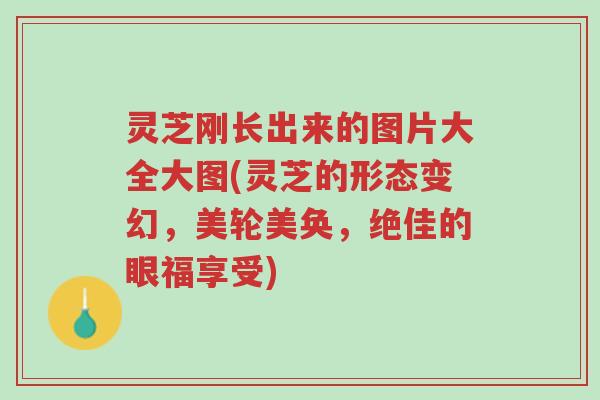 灵芝刚长出来的图片大全大图(灵芝的形态变幻,美轮美奂,绝佳的眼福享受)-第1张图片-超越 灵芝刚长出来的图片大全大图(灵芝的形态变幻,美轮美奂,绝佳的眼福享受)-第1张图片-超越