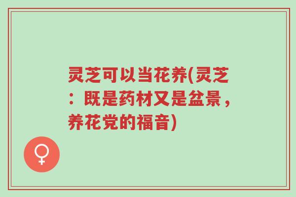 灵芝可以当花养(灵芝：既是药材又是盆景，养花党的福音)-第1张图片-超越