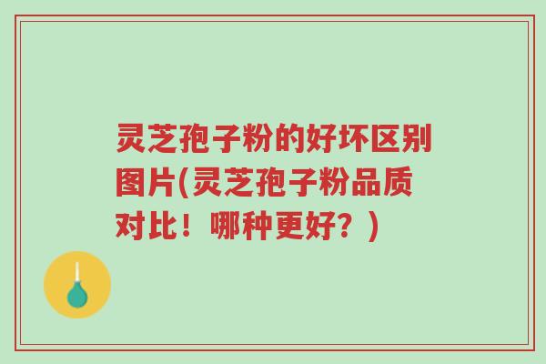 灵芝孢子粉的好坏区别图片(灵芝孢子粉品质对比!哪种更好?)-第1张图片-超越 灵芝孢子粉的好坏区别图片(灵芝孢子粉品质对比!哪种更好?)-第1张图片-超越
