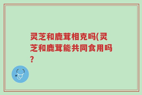 灵芝和鹿茸相克吗(灵芝和鹿茸能共同食用吗?-第1张图片-超越 灵芝和鹿茸相克吗(灵芝和鹿茸能共同食用吗?-第1张图片-超越