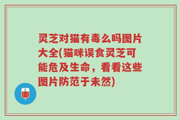 灵芝对猫有毒么吗图片大全(猫咪误食灵芝可能危及生命,看看这些图片防范于未然)-第1张图片-超越 灵芝对猫有毒么吗图片大全(猫咪误食灵芝可能危及生命,看看这些图片防范于未然)-第1张图片-超越
