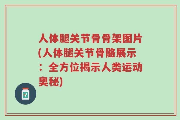 人体腿关节骨骨架图片(人体腿关节骨骼展示:全方位揭示人类运动奥秘)-第1张图片-超越 人体腿关节骨骨架图片(人体腿关节骨骼展示:全方位揭示人类运动奥秘)-第1张图片-超越