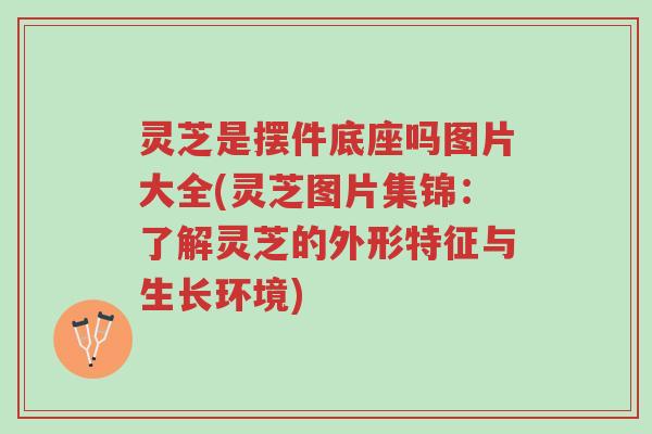 灵芝是摆件底座吗图片大全(灵芝图片集锦:了解灵芝的外形特征与生长环境)-第1张图片-超越 灵芝是摆件底座吗图片大全(灵芝图片集锦:了解灵芝的外形特征与生长环境)-第1张图片-超越