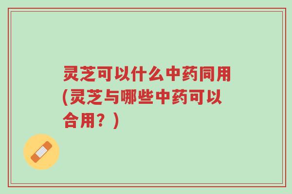 灵芝可以什么中药同用(灵芝与哪些中药可以合用？)-第1张图片-超越
