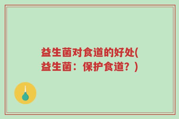 益生菌对食道的好处(益生菌:保护食道?)-第1张图片-超越 益生菌对食道的好处(益生菌:保护食道?)-第1张图片-超越