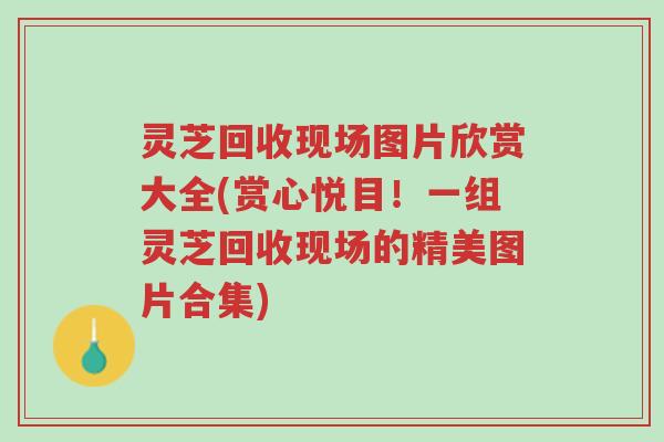 灵芝回收现场图片欣赏大全(赏心悦目！一组灵芝回收现场的精美图片合集)-第1张图片-超越