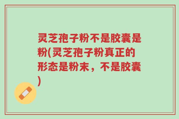 灵芝孢子粉不是胶囊是粉(灵芝孢子粉真正的形态是粉末,不是胶囊)-第1张图片-超越 灵芝孢子粉不是胶囊是粉(灵芝孢子粉真正的形态是粉末,不是胶囊)-第1张图片-超越