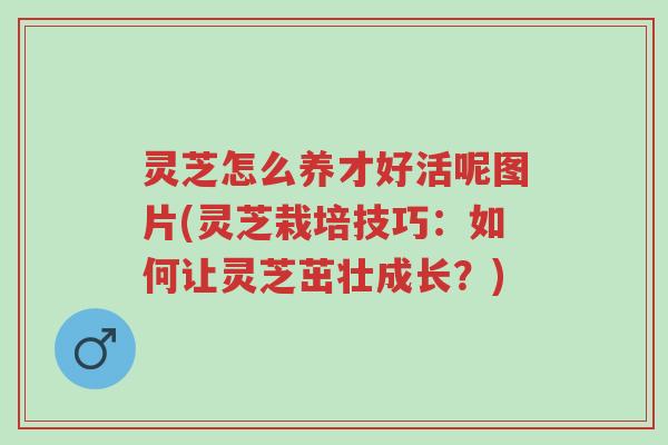 灵芝怎么养才好活呢图片(灵芝栽培技巧:如何让灵芝茁壮成长?)-第1张图片-超越 灵芝怎么养才好活呢图片(灵芝栽培技巧:如何让灵芝茁壮成长?)-第1张图片-超越