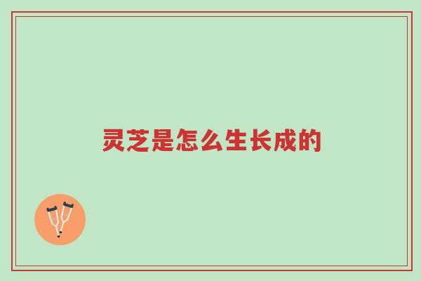 灵芝是怎么生长成的-第1张图片-超越