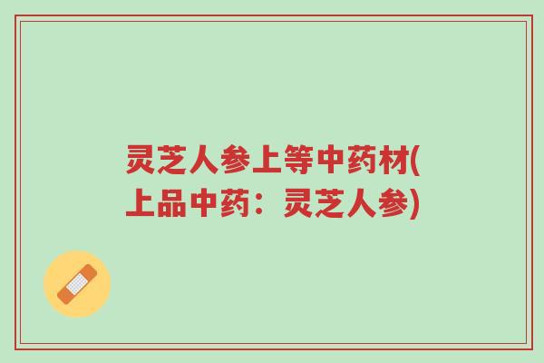 灵芝人参上等中药材(上品中药:灵芝人参)-第1张图片-超越 灵芝人参上等中药材(上品中药:灵芝人参)-第1张图片-超越