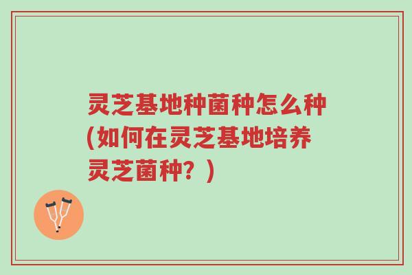 灵芝基地种菌种怎么种(如何在灵芝基地培养灵芝菌种?)-第1张图片-超越 灵芝基地种菌种怎么种(如何在灵芝基地培养灵芝菌种?)-第1张图片-超越