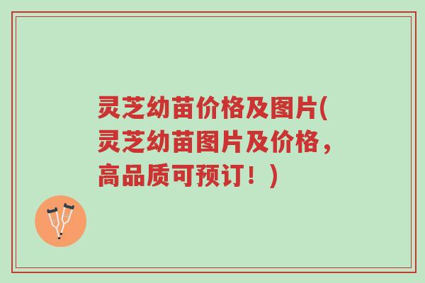 灵芝幼苗价格及图片(灵芝幼苗图片及价格,高品质可预订!)-第1张图片-超越 灵芝幼苗价格及图片(灵芝幼苗图片及价格,高品质可预订!)-第1张图片-超越
