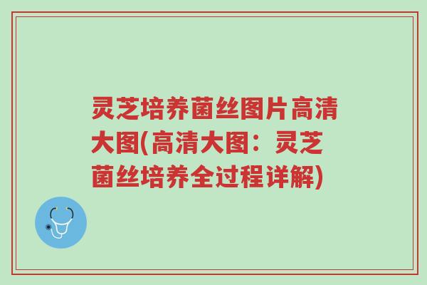 灵芝培养菌丝图片高清大图(高清大图:灵芝菌丝培养全过程详解)-第1张图片-超越 灵芝培养菌丝图片高清大图(高清大图:灵芝菌丝培养全过程详解)-第1张图片-超越