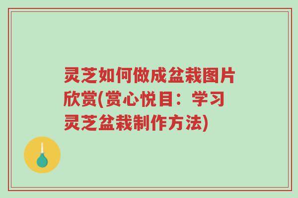 灵芝如何做成盆栽图片欣赏(赏心悦目:学习灵芝盆栽制作方法)-第1张图片-超越 灵芝如何做成盆栽图片欣赏(赏心悦目:学习灵芝盆栽制作方法)-第1张图片-超越