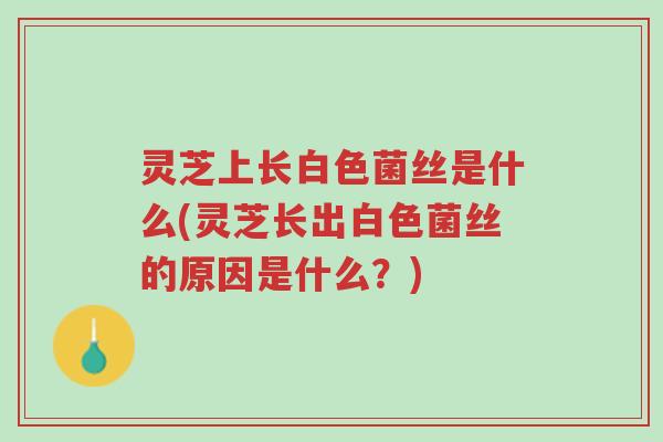 灵芝上长白色菌丝是什么(灵芝长出白色菌丝的原因是什么？)-第1张图片-超越
