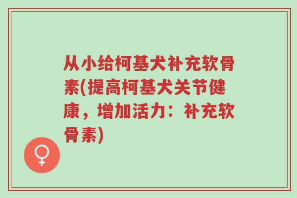 从小给柯基犬补充软骨素(提高柯基犬关节健康,增加活力:补充软骨素)-第1张图片-超越 从小给柯基犬补充软骨素(提高柯基犬关节健康,增加活力:补充软骨素)-第1张图片-超越