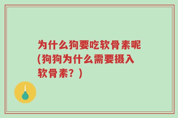 为什么狗要吃软骨素呢(狗狗为什么需要摄入软骨素?)-第1张图片-超越 为什么狗要吃软骨素呢(狗狗为什么需要摄入软骨素?)-第1张图片-超越