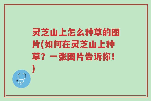 灵芝山上怎么种草的图片(如何在灵芝山上种草?一张图片告诉你!)-第1张图片-超越 灵芝山上怎么种草的图片(如何在灵芝山上种草?一张图片告诉你!)-第1张图片-超越