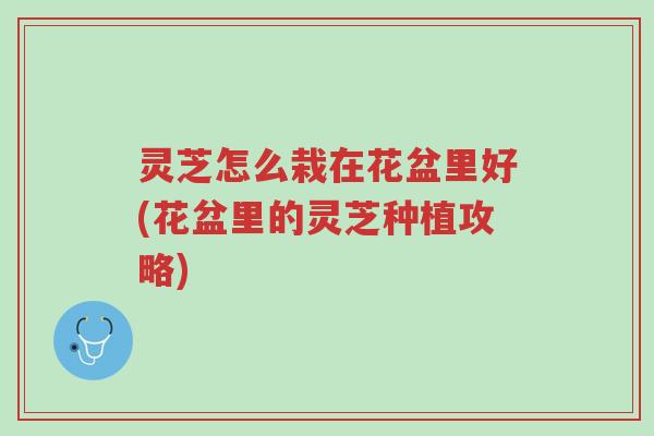 灵芝怎么栽在花盆里好(花盆里的灵芝种植攻略)-第1张图片-超越