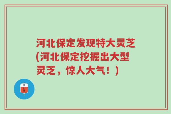 河北保定发现特大灵芝(河北保定挖掘出大型灵芝,惊人大气!)-第1张图片-超越 河北保定发现特大灵芝(河北保定挖掘出大型灵芝,惊人大气!)-第1张图片-超越