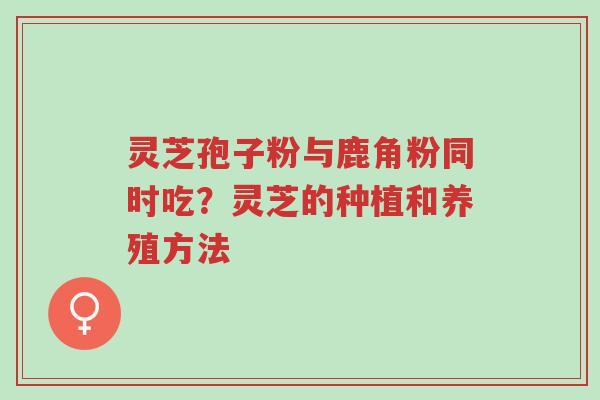 灵芝孢子粉与鹿角粉同时吃?灵芝的种植和养殖方法-第1张图片-超越 灵芝孢子粉与鹿角粉同时吃?灵芝的种植和养殖方法-第1张图片-超越