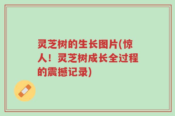 灵芝树的生长图片(惊人!灵芝树成长全过程的震撼记录)-第1张图片-超越 灵芝树的生长图片(惊人!灵芝树成长全过程的震撼记录)-第1张图片-超越