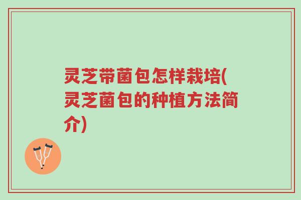 灵芝带菌包怎样栽培(灵芝菌包的种植方法简介)-第1张图片-超越 灵芝带菌包怎样栽培(灵芝菌包的种植方法简介)-第1张图片-超越