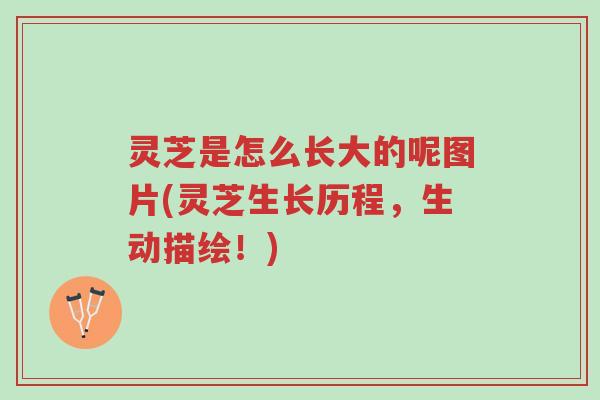 灵芝是怎么长大的呢图片(灵芝生长历程,生动描绘!)-第1张图片-超越 灵芝是怎么长大的呢图片(灵芝生长历程,生动描绘!)-第1张图片-超越