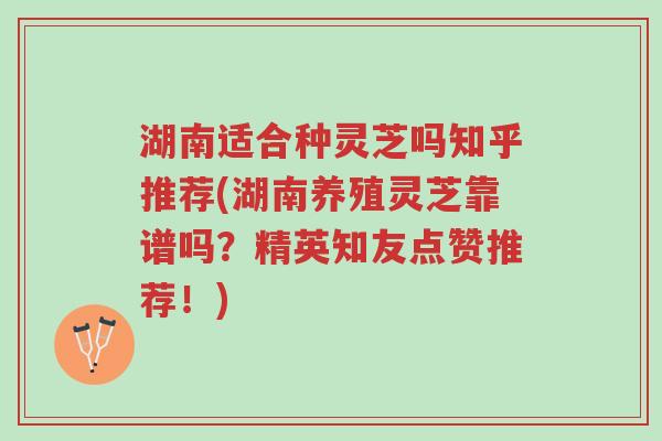 湖南适合种灵芝吗知乎推荐(湖南养殖灵芝靠谱吗?精英知友点赞推荐!)-第1张图片-超越 湖南适合种灵芝吗知乎推荐(湖南养殖灵芝靠谱吗?精英知友点赞推荐!)-第1张图片-超越