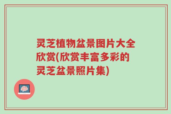 灵芝植物盆景图片大全欣赏(欣赏丰富多彩的灵芝盆景照片集)-第1张图片-超越 灵芝植物盆景图片大全欣赏(欣赏丰富多彩的灵芝盆景照片集)-第1张图片-超越